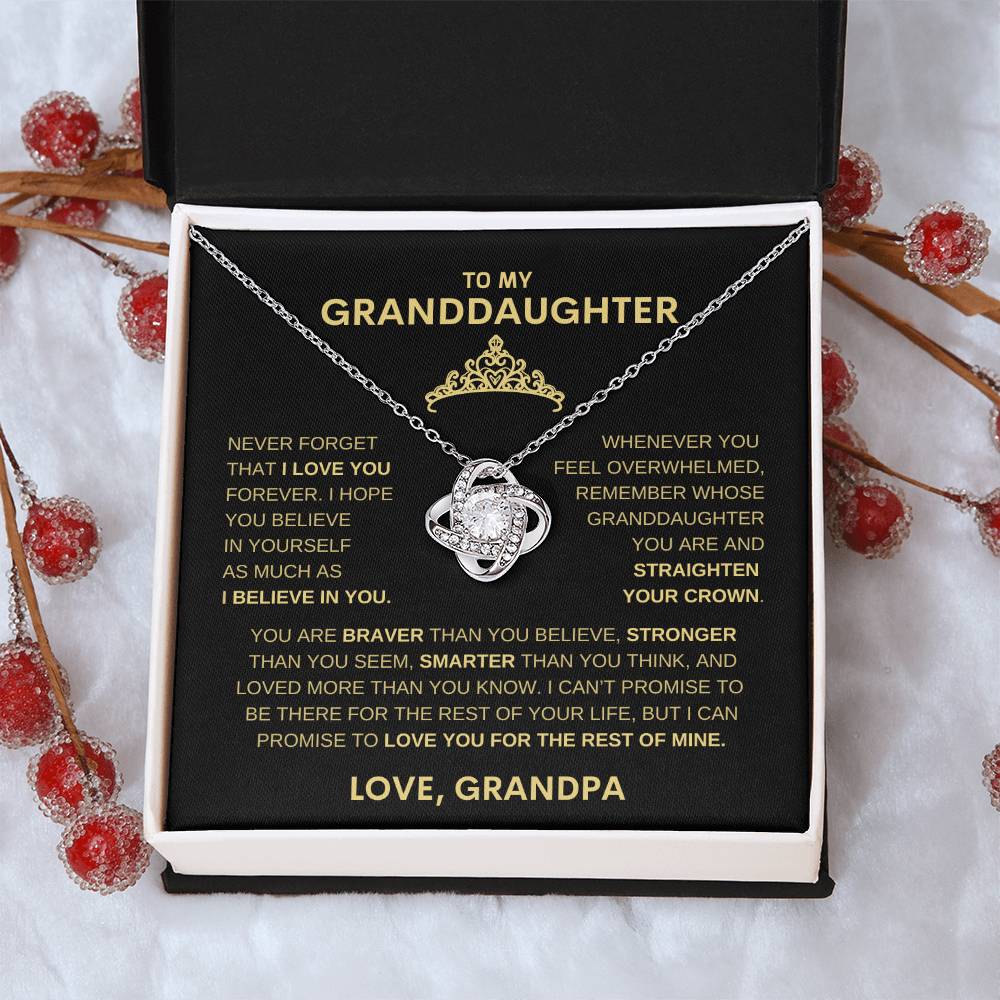 Beautiful Gift for Granddaughter From Grandpa "Never Forget That I believe in you" Necklace