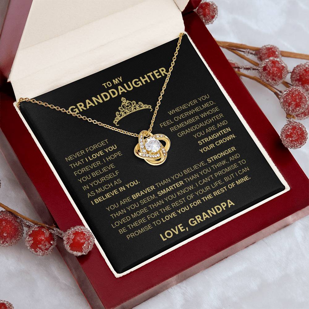 Beautiful Gift for Granddaughter From Grandpa "Never Forget That I believe in you" Necklace